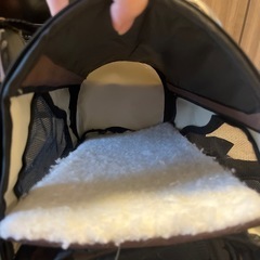 猫のケージの画像