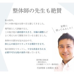 NELUKAバグモッチ抱き枕の画像