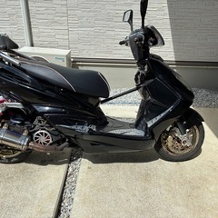 シグナス　台湾２型の画像