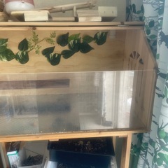 ハムスター大きい可愛いゲージ
の画像