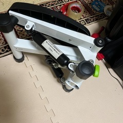 プリマソーレ primasole ミニステッパーの画像
