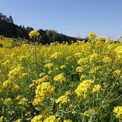 異業種交流会