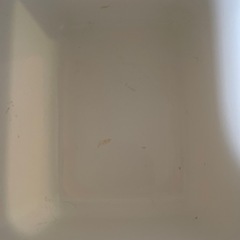 棚の画像