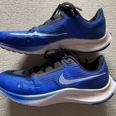 ★USED美品★ナイキ NIKE シューズ 青･ブルー／キッズ ジュニア／24.5㎝※洗濯済みの画像