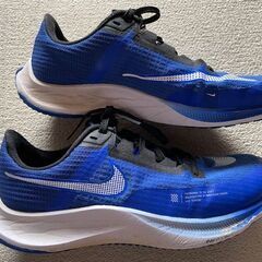 ★USED美品★ナイキ NIKE シューズ 青･ブルー／キッズ ジュニア／24.5㎝※洗濯済みの画像