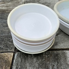 鉢受皿　
　の画像