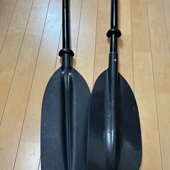 10フィートカヤック　ホンデックス魚探付き　フルセット
の画像