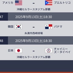 U18野球ワールドカップ　13日チケット　1枚のみの画像