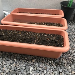 プランター差し上げますの画像