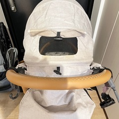 エアバギー人気色 夏・冬用のおまけあり