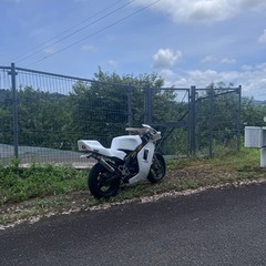 nsr50  nチビの画像