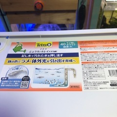 (決まりました)テトラ じょうろでキレイ メダカ鉢 40 ラメ増しホワイト(メダカ水槽)の画像
