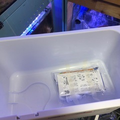 (決まりました)テトラ じょうろでキレイ メダカ鉢 40 ラメ増しホワイト(メダカ水槽)の画像