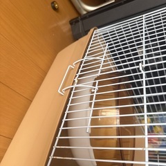 小動物用ゲージの画像