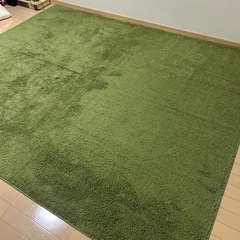  【決定】ほこりが取れやすい洗えるラグ(Nクリーンウォッシュ YGR 200X240)ニトリの画像