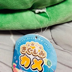 カメのきぐるみ🐢
の画像