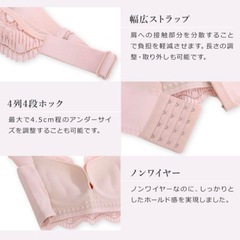 定価2090円　新品未使用　BeHe ベーエ  ナイトブラ 75Lの画像