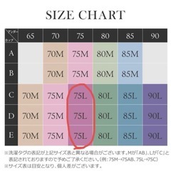 定価2090円　新品未使用　BeHe ベーエ  ナイトブラ 75Lの画像