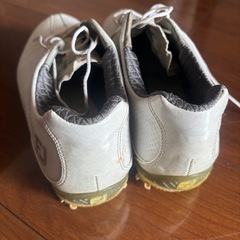 フットジョイ　ゴルフシューズの画像