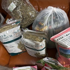 カナチモ・牧草市場など大量！の画像