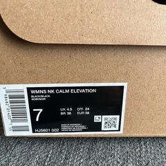 NIKE サンダル　箱ありの画像