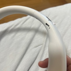 ファンの画像