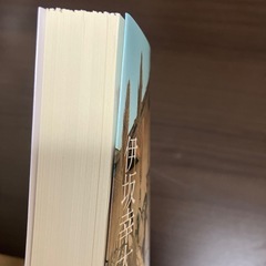鴨とアヒルのコインロッカーの画像