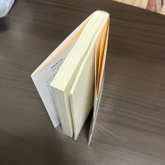 鴨とアヒルのコインロッカーの画像