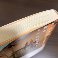鴨とアヒルのコインロッカーの画像