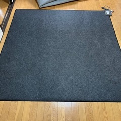 ホットカーペットの画像