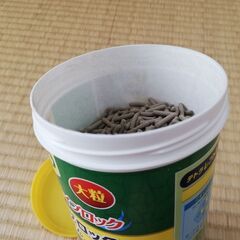テトラ　カメのえさの画像