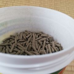 テトラ　カメのえさの画像