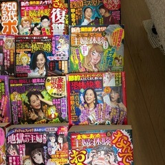 レディースコミック まとめ売り 30冊の画像
