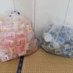 【大量】ヨーグルトカップの画像