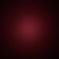 ストレリチア　苗の画像