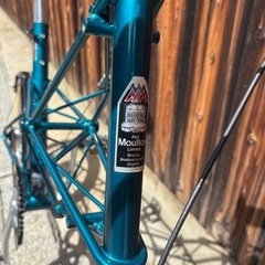 Moulton APB NEXUS7 アレックスモールトン 内装7段の画像