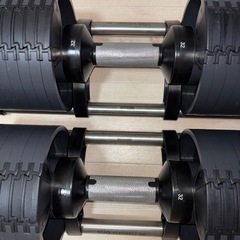 32kg 4kg刻みフレックスベルNUOBELL可変式ダンベルの画像