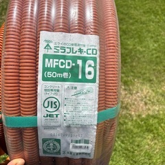 CD菅？の画像