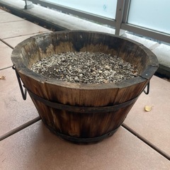 植物鉢の画像