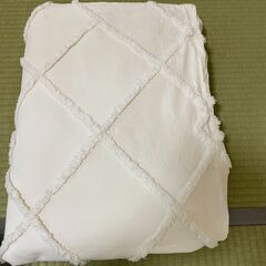 掛け布団カバー ニトリSサイズ ヨナ　Nグリップの画像