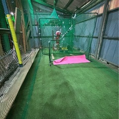 とりかご　バッティングゲージ　硬式　練習　室内練習場　バッティングネット　人工芝の画像