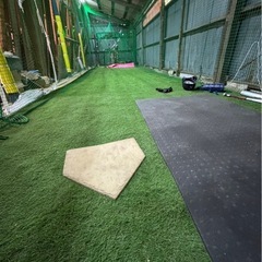 とりかご　バッティングゲージ　硬式　練習　室内練習場　バッティングネット　人工芝の画像