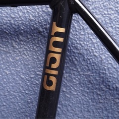 GIANT 「ジャイアント」 F  2012年モデル ピストバイク の画像
