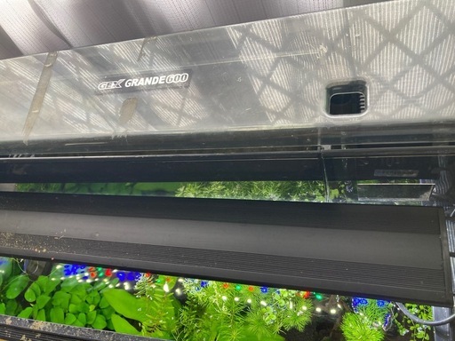 値下げ　GEX 水槽　60センチ水槽