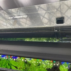 GEX 水槽　60センチ水槽の画像