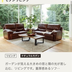25万輸入家具 FedericoⅡ Romeo(ロメオ) 3Pソファ イタリアの画像