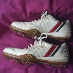 ゴルフシューズ（キャロウェイ、２５，５ｃｍ）の画像