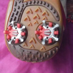 ゴルフシューズ（キャロウェイ、２５，５ｃｍ）の画像