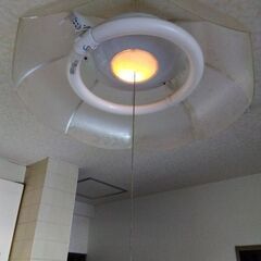 ペンダントライト　天井照明の画像