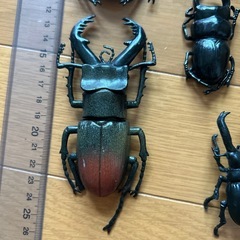カブトムシ クワガタのフィギュアセットの画像